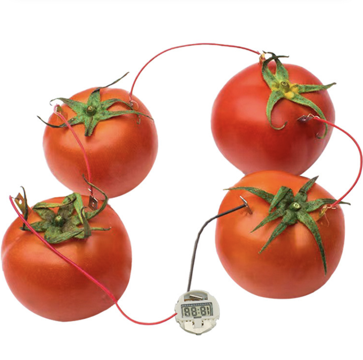 Máy Phát Điện Từ Pin Trái Cây Stem 